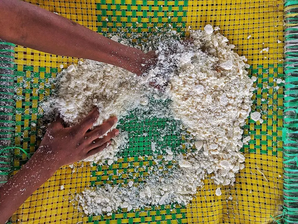 Transformation du manioc, image d’illustration